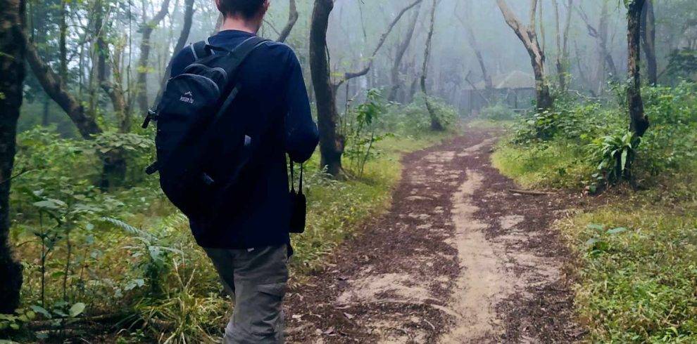 Eco Tour & Safari Park Tour By Walking in the Silent Forest in Dhaka Division